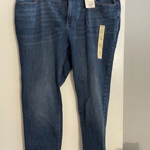 Classic Blue Women's Jeans 24W NWT ANA